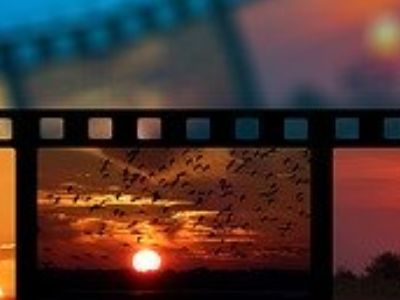 Video Marketing